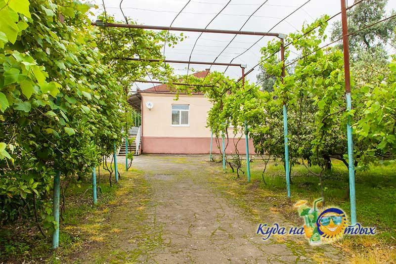 U Vili Hotel Пицунда Екстериор снимка